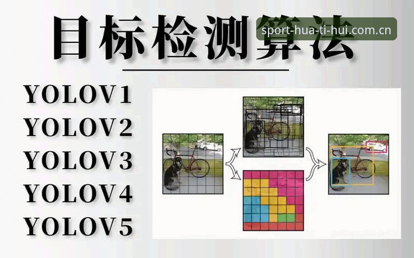 华体会体育怎么样教程 华体会体育平台深度评测:从下载到实战的完整教程体验报告